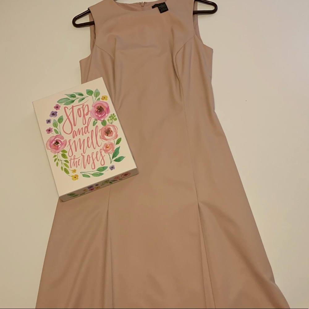 The limited pink dress